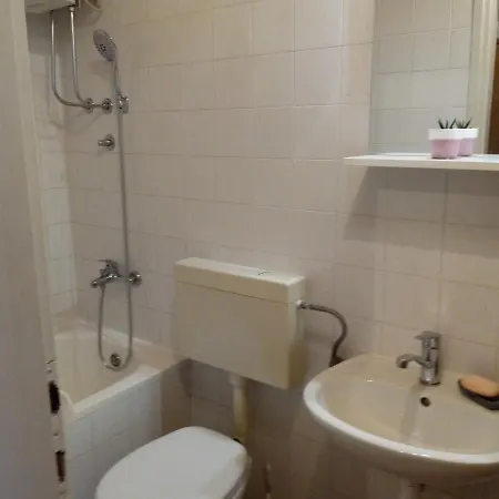 Ruzica Saric 3*